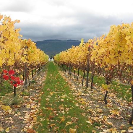 Korohi Vineyard Bnb Blenheim Extérieur photo